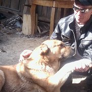 �������, 50 ���, ������