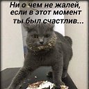 ���� ��������, ����� �������� - ��������� 24 ������ 2018 � ������ ���� ����������