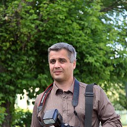 Sandro, �������, 51 ���