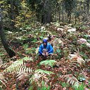 ���� ��������, �������, 39 ��� - ��������� 26 ������� 2018 � ������ ���� ����������