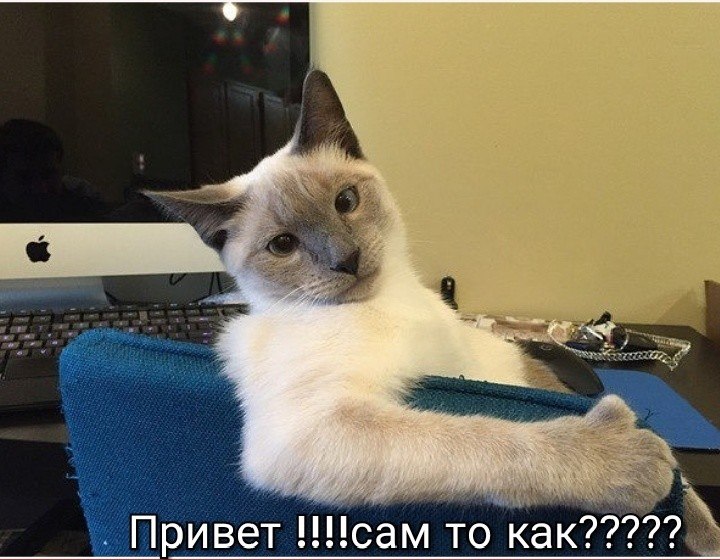 ***Victoria Viktorovna*** - 27  2018  16:51