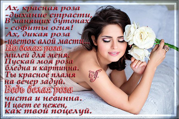  (   ) - 25  2019  05:51