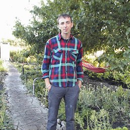 ������, �������, 43 ����