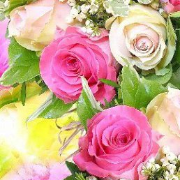 �����, �����, 28 ���