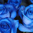 ���� �����, ������ - ��������� 22 ������ 2019 � ������ ������