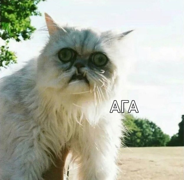 :    ? ? :