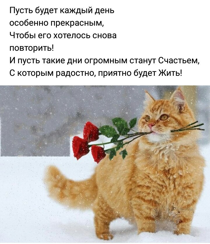  ,  ! - 10  2018  23:53