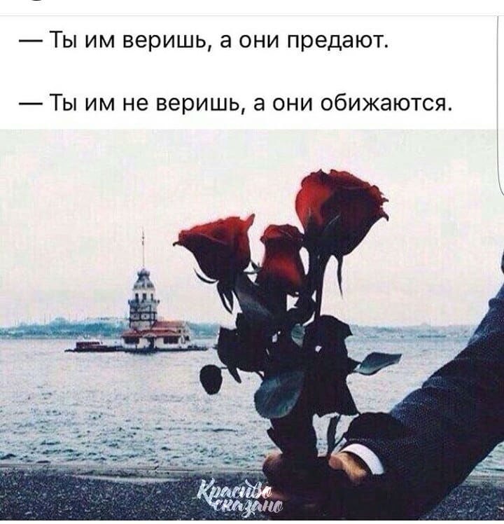   . . . - 18  2018  16:34
