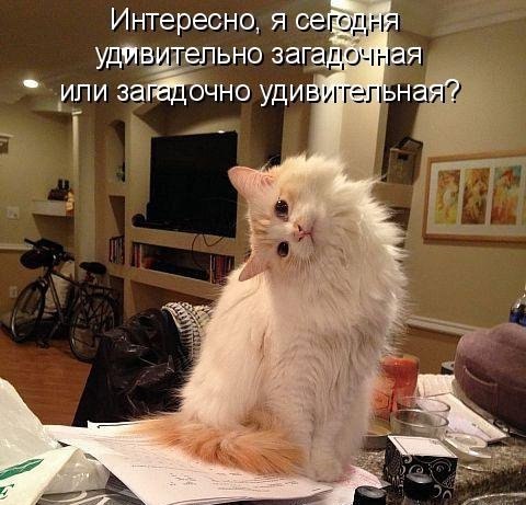    - 1  2018  16:46