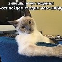 ���� �������, �������, 55 ��� - ��������� 20 ���� 2018 � ������ ������ ��������