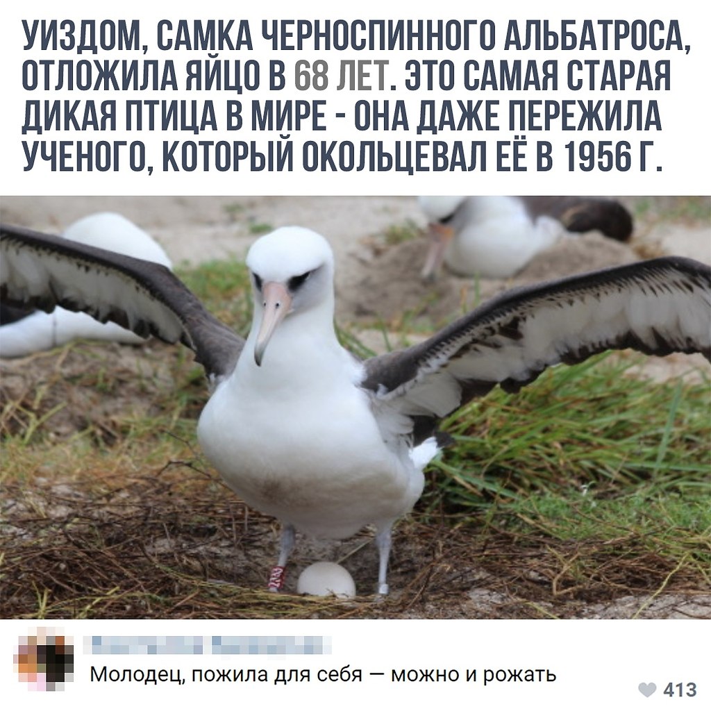    - 7  2018  16:41