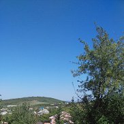 � �, 43 ����, ������������