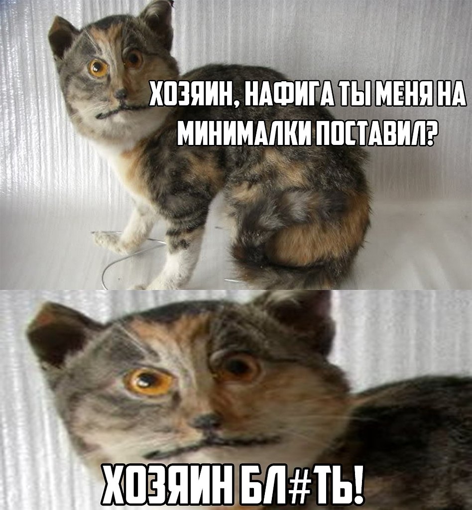 IGM - 15  2019  16:37