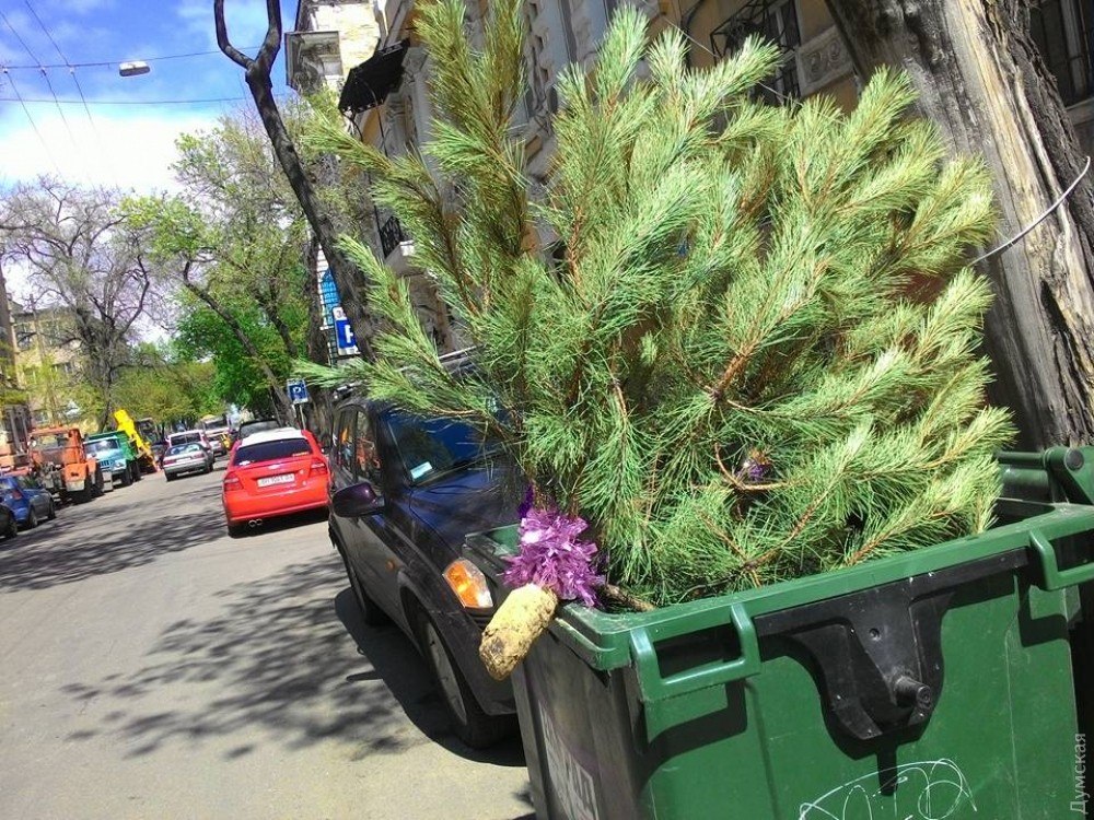 ����� �� �� ����������� ����� ��� �� �����, � �����. ����� �� �� 10 ���� �� ������ �� ������, ...