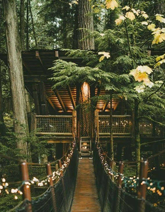 Capilano Suspension Bridge Park, 