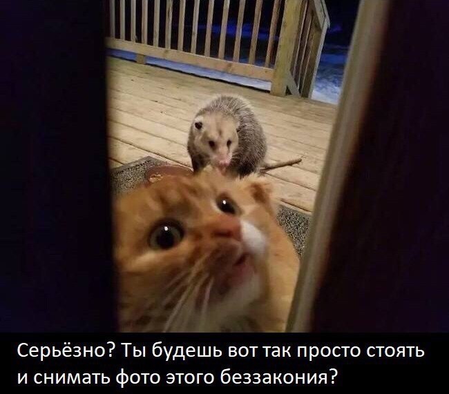 ... :) - 4