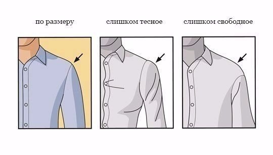 Как должна сидеть мужская рубашка.На первый взгляд, вопрос кажется очевидным — но это лишь на первый ... - 6