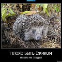 ���� ���������, �����, 53 ���� - ��������� 27 ���� 2018 � ������ ���� ����������