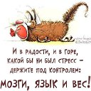  Testardo, , 44  -  23  2019    