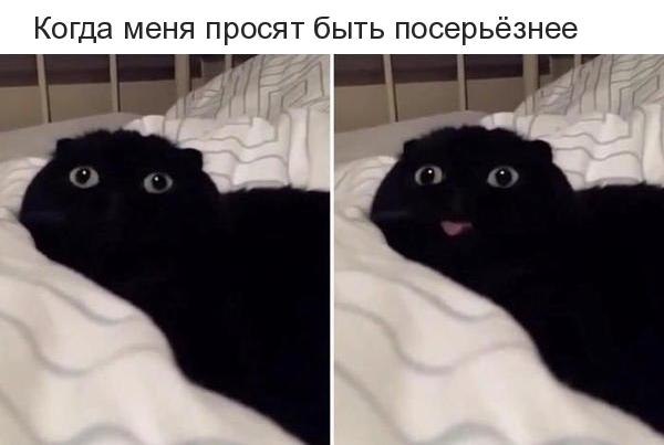   - 14  2019  17:00
