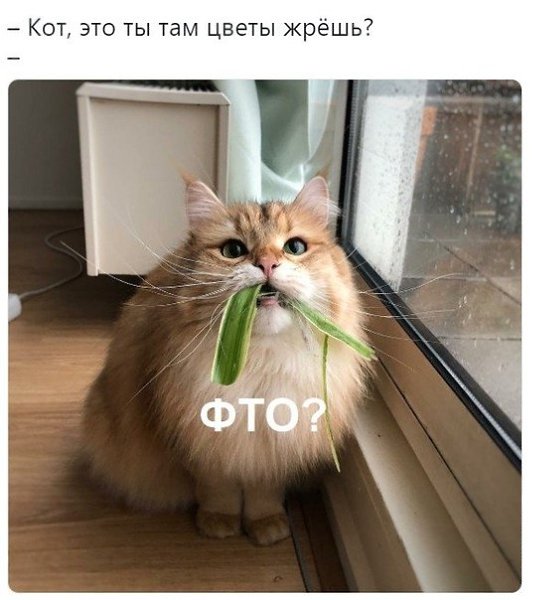 ~**~ - 19  2019  17:08