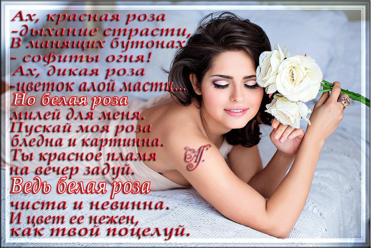  (   ) - 25  2019  05:51