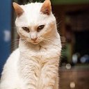 &mdash;  !&mdash;    ...    