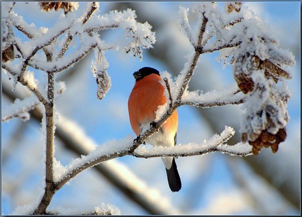   ...       ,  ,    ...