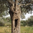  ••,  -  18  2018   - ))