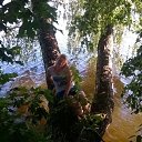 ���� �������, ������ - ��������� 6 ������� 2018 � ������ ���� ����������