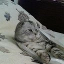 ���� Valery, ������������ - ��������� 9 �������� 2018