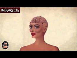ВСЯ СУТЬ СОВРЕМЕННЫХ СТАНДАРТОВ КРАСОТЫ...