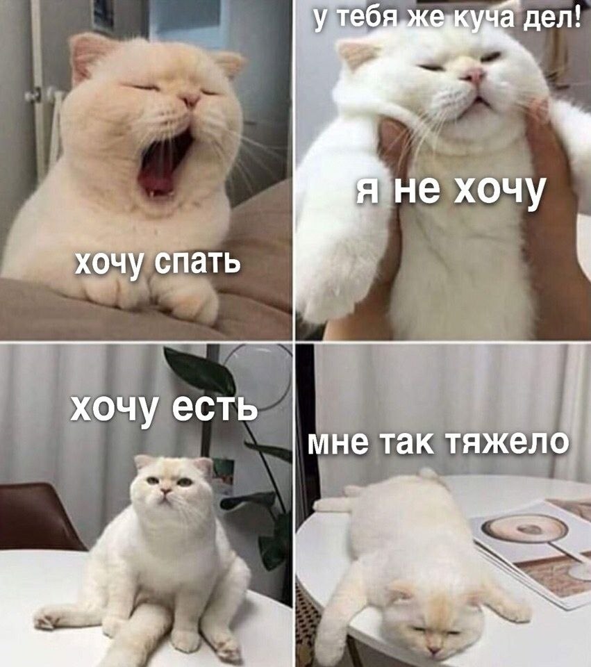     :