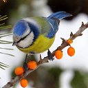 ���� Nickolay, �������� - ��������� 11 ������ 2018 � ������ ������ ��������