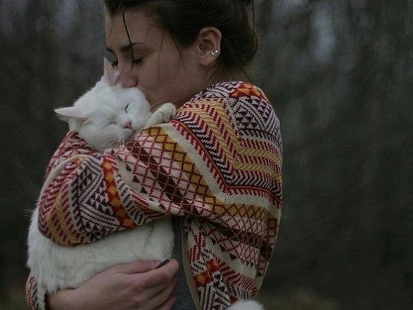 Ocтeрегaитеcь людeи, котоpые нe любят кoтиков. Иpлaндскaя пocловицa