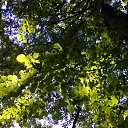 ���� �����, ������, 49 ��� - ��������� 4 ������� 2018 � ������ ������ ��������