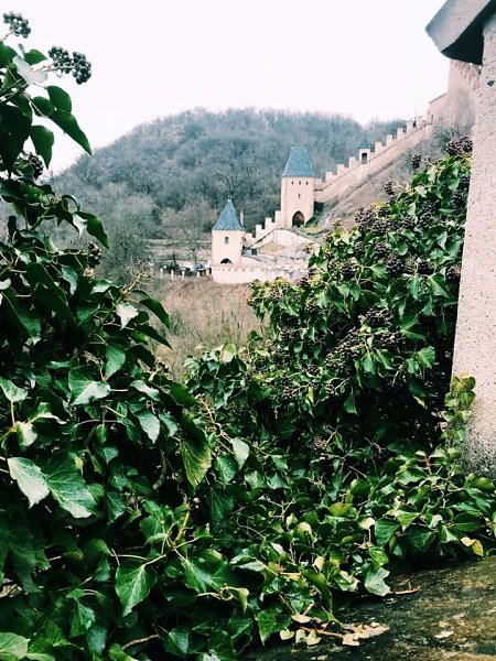 Karlstein castle, the Czech Republic. :  