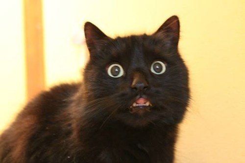     6 ,     ,         ...