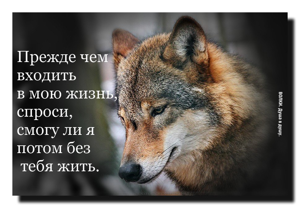   - 20  2018  19:39