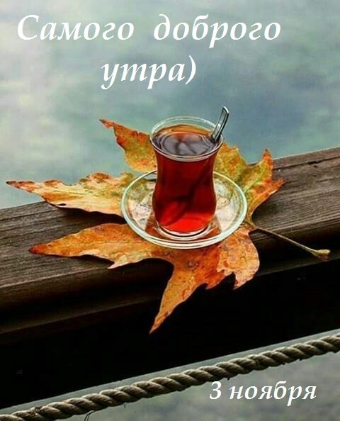     ,     ). , )