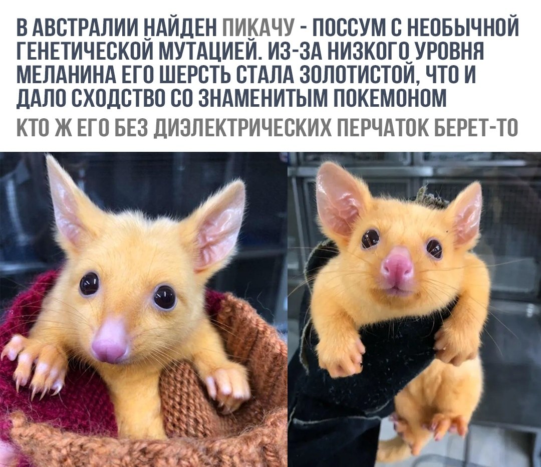    - 1  2018  16:31