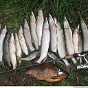  , -, 64  -  9  2019    -