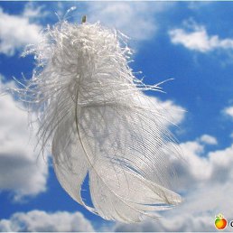 ���� �����, ������� - ��������� 12 ������� 2018