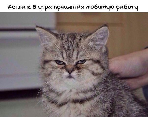   - 20  2019  17:03