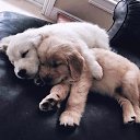 ���� ����, ����� - ��������� 16 ���� 2018 � ������ ���� ����������