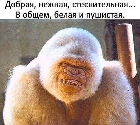 ������� - 18 ������ 2018 � 07:57