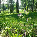  , -, 63  -  4  2018    2018