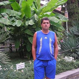 ����, ������, 48 ���