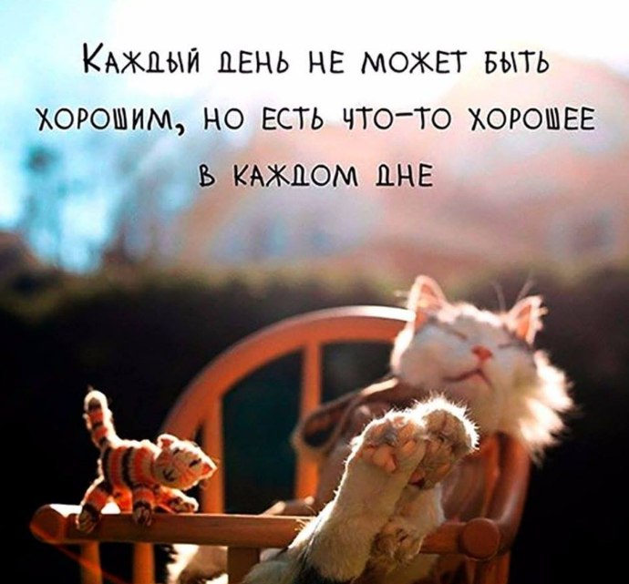  - 22  2019  08:13