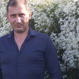 ��������, ������, 50 ���